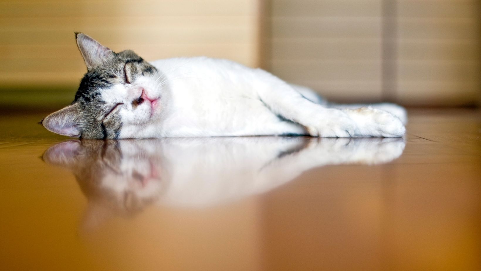 Încălzirea prin pardoseală - avantaje și dezavantaje